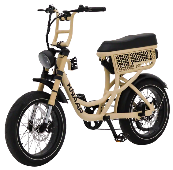 Vente Occasion VAE BI PLACE KNAAP BIKE LON